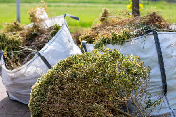 Best Electronics Removal Services  in Vista Santa Rosa, CA